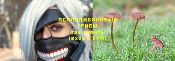 дживик Алексин