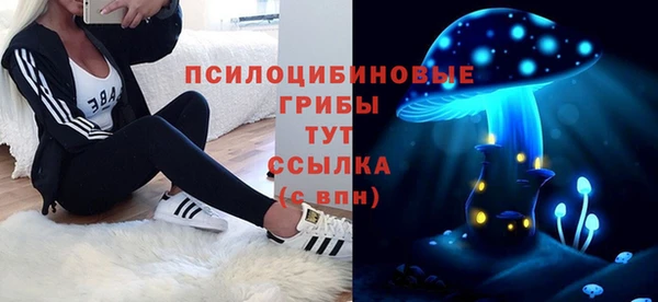дживик Алексин
