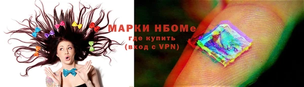 хмурый Абаза