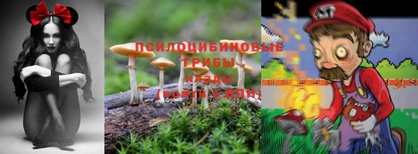 дживик Алексин