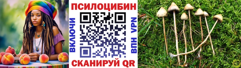 Псилоцибиновые грибы Cubensis  Гаджиево 